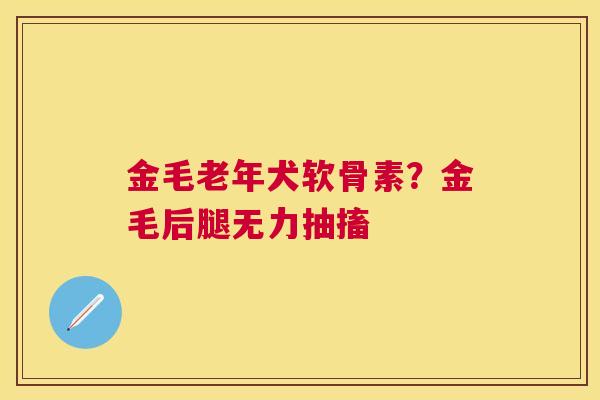 金毛老年犬软骨素?金毛后腿无力抽搐 金毛老年犬软骨素?金毛后腿无力抽搐