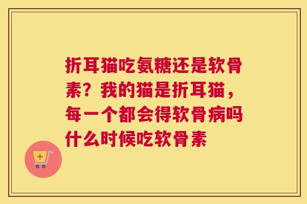 折耳猫吃氨糖还是软骨素？我的猫是折耳猫，每一个都会得软骨病吗什么时候吃软骨素