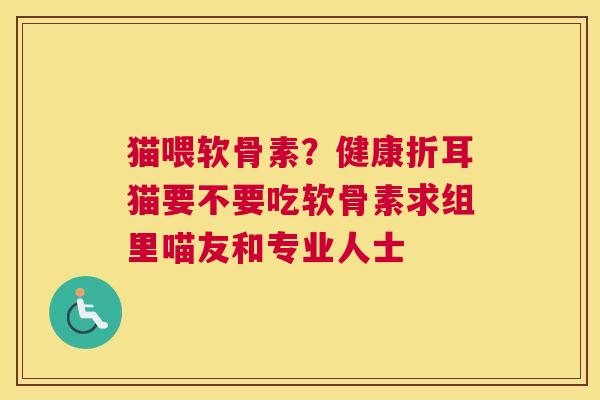 猫喂软骨素?健康折耳猫要不要吃软骨素求组里喵友和专业人士