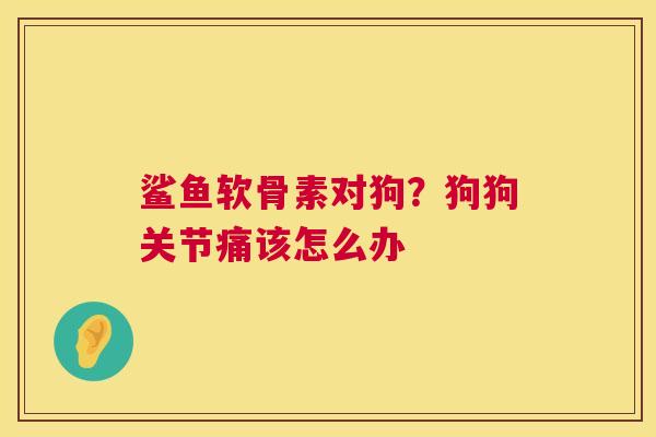 鲨鱼软骨素对狗？狗狗关节痛该怎么办