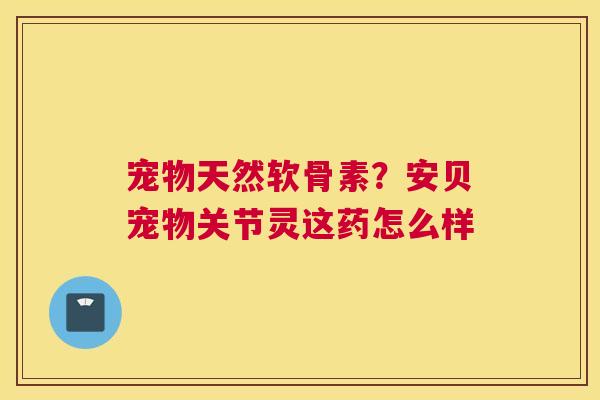 宠物天然软骨素?安贝宠物关节灵这药怎么样