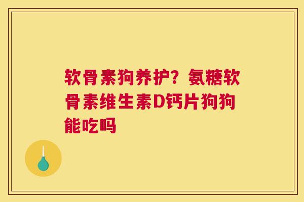 软骨素狗养护?氨糖软骨素维生素D钙片狗狗能吃吗