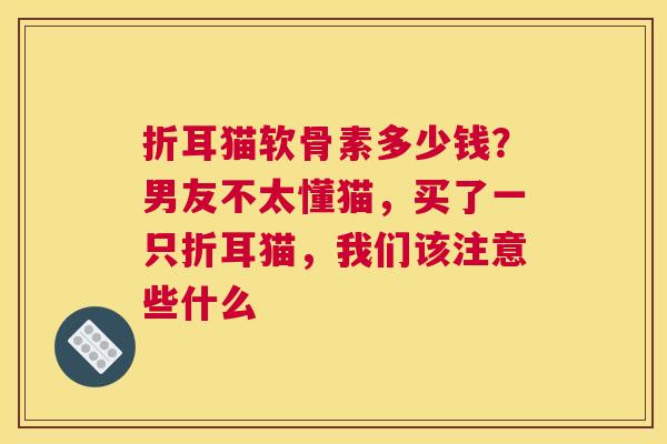 折耳猫软骨素多少钱？男友不太懂猫，买了一只折耳猫，我们该注意些什么