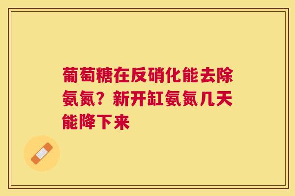 葡萄糖在反硝化能去除氨氮?新开缸氨氮几天能降下来