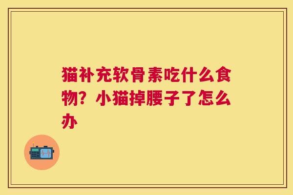 猫补充软骨素吃什么食物？小猫掉腰子了怎么办