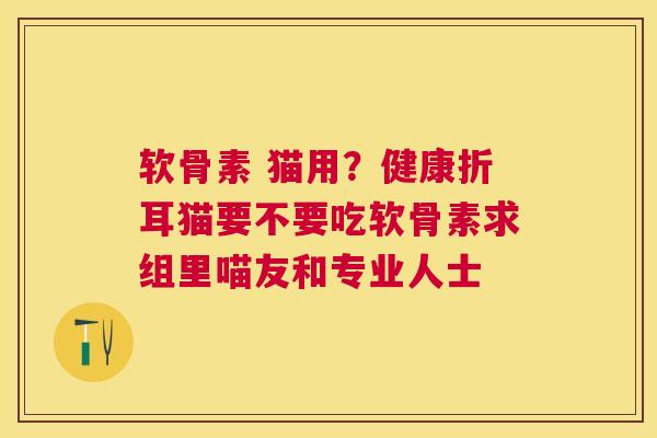 软骨素 猫用?健康折耳猫要不要吃软骨素求组里喵友和专业人士
