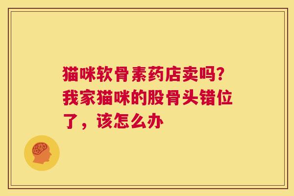 猫咪软骨素药店卖吗?我家猫咪的股骨头错位了,该怎么办 猫咪软骨素药店卖吗?我家猫咪的股骨头错位了,该怎么办