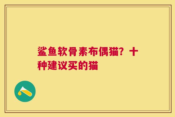 鲨鱼软骨素布偶猫?十种建议买的猫