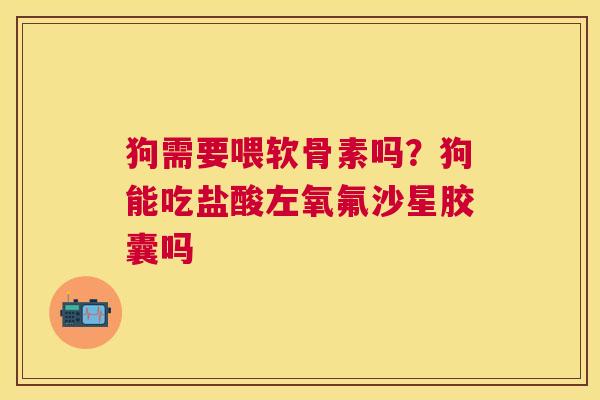 狗需要喂软骨素吗?狗能吃盐酸左氧氟沙星胶囊吗