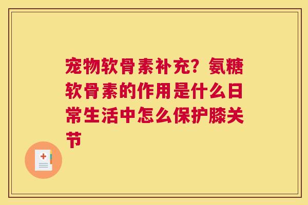 宠物软骨素补充?氨糖软骨素的作用是什么日常生活中怎么保护膝关节