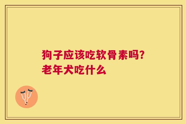 狗子应该吃软骨素吗?老年犬吃什么