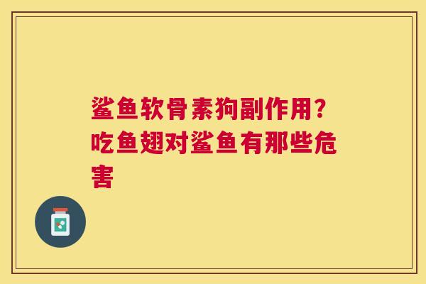 鲨鱼软骨素狗副作用?吃鱼翅对鲨鱼有那些危害