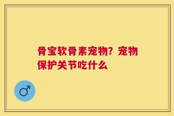 骨宝软骨素宠物?宠物保护关节吃什么 骨宝软骨素宠物?宠物保护关节吃什么