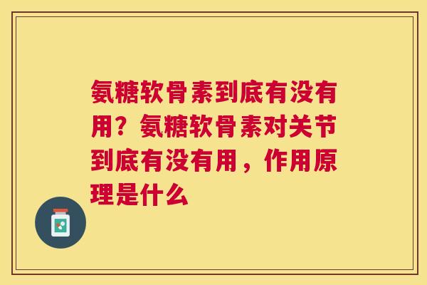 氨糖软骨素到底有没有用?氨糖软骨素对关节到底有没有用,作用原理是什么