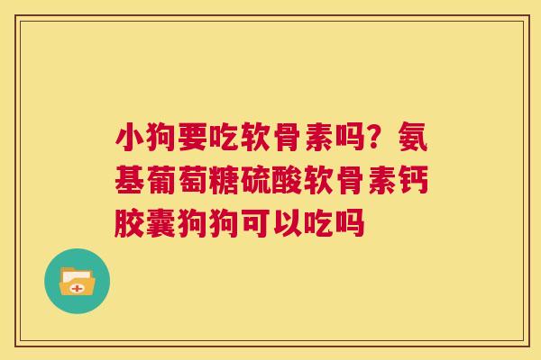 小狗要吃软骨素吗?氨基葡萄糖硫酸软骨素钙胶囊狗狗可以吃吗