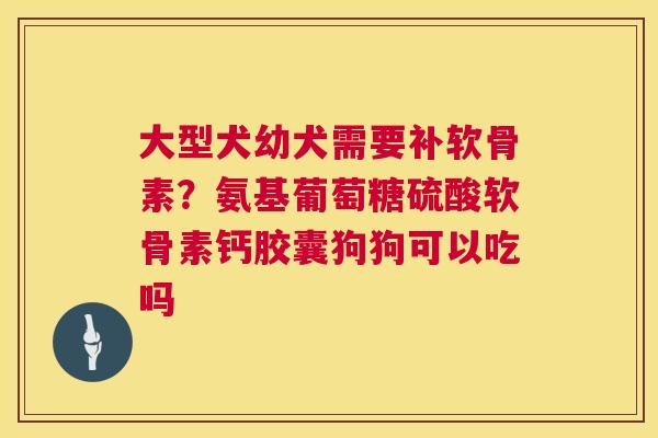 大型犬幼犬需要补软骨素？氨基葡萄糖硫酸软骨素钙胶囊狗狗可以吃吗