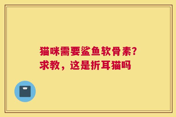 猫咪需要鲨鱼软骨素？求教，这是折耳猫吗