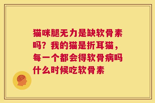猫咪腿无力是缺软骨素吗?我的猫是折耳猫,每一个都会得软骨病吗什么时候吃软骨素