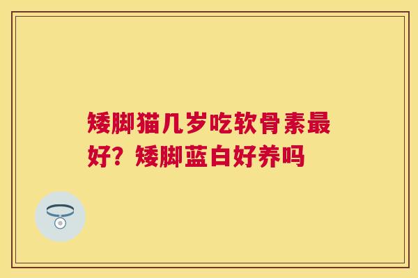 矮脚猫几岁吃软骨素好?矮脚蓝白好养吗 矮脚猫几岁吃软骨素好?矮脚蓝白好养吗