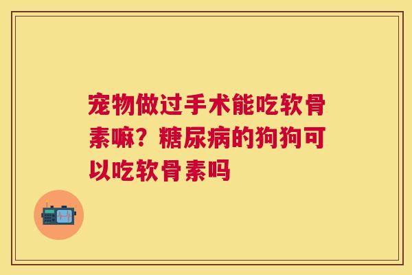 宠物做过手术能吃软骨素嘛？的狗狗可以吃软骨素吗