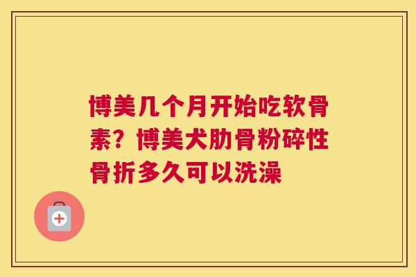 博美几个月开始吃软骨素?博美犬肋骨粉碎性骨折多久可以洗澡