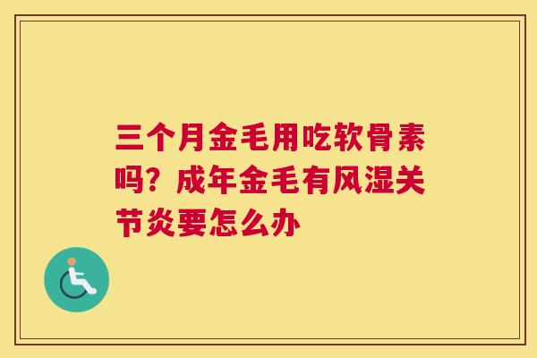 三个月金毛用吃软骨素吗？成年金毛有要怎么办