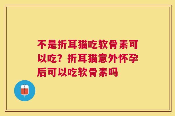 不是折耳猫吃软骨素可以吃?折耳猫意外怀孕后可以吃软骨素吗