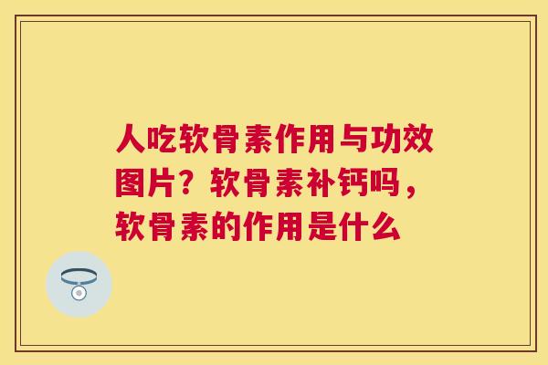 人吃软骨素作用与功效图片？软骨素补钙吗，软骨素的作用是什么