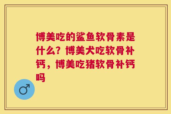 博美吃的鲨鱼软骨素是什么？博美犬吃软骨补钙，博美吃猪软骨补钙吗