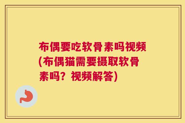 布偶要吃软骨素吗视频(布偶猫需要摄取软骨素吗?视频解答) 布偶要吃软骨素吗视频(布偶猫需要摄取软骨素吗?视频解答)
