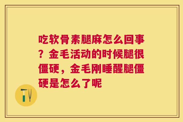 吃软骨素腿麻怎么回事?金毛活动的时候腿很僵硬,金毛刚睡醒腿僵硬是怎么了呢