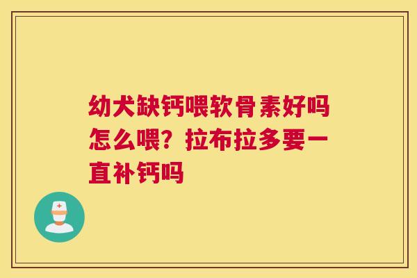 幼犬缺钙喂软骨素好吗怎么喂?拉布拉多要一直补钙吗