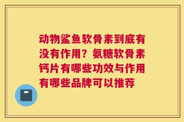动物鲨鱼软骨素到底有没有作用?氨糖软骨素钙片有哪些功效与作用有哪些品牌可以推荐
