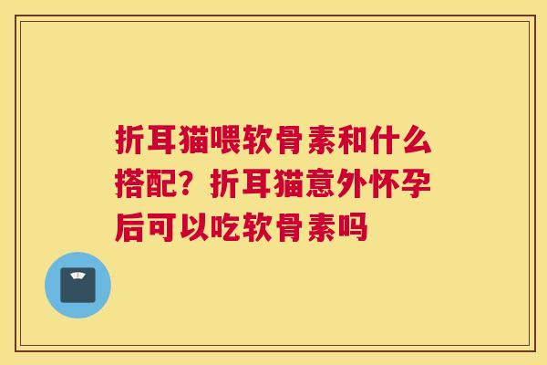 折耳猫喂软骨素和什么搭配?折耳猫意外怀孕后可以吃软骨素吗 折耳猫喂软骨素和什么搭配?折耳猫意外怀孕后可以吃软骨素吗