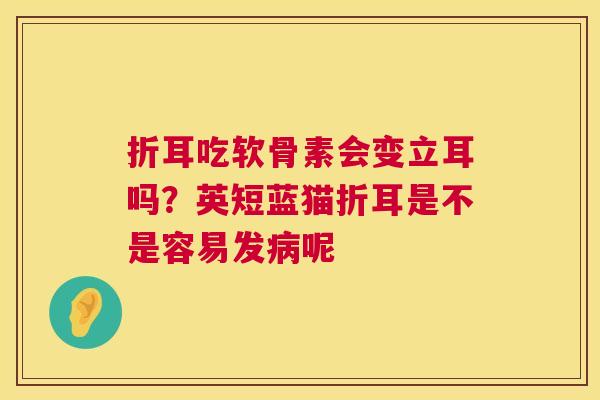 折耳吃软骨素会变立耳吗?英短蓝猫折耳是不是容易发病呢