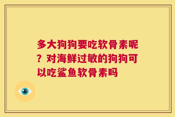 多大狗狗要吃软骨素呢?对海鲜过敏的狗狗可以吃鲨鱼软骨素吗