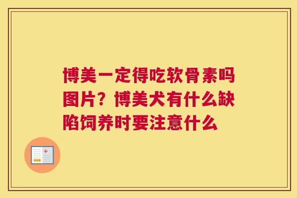 博美一定得吃软骨素吗图片?博美犬有什么缺陷饲养时要注意什么