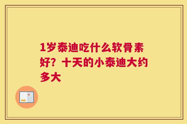 1岁泰迪吃什么软骨素好?十天的小泰迪大约多大