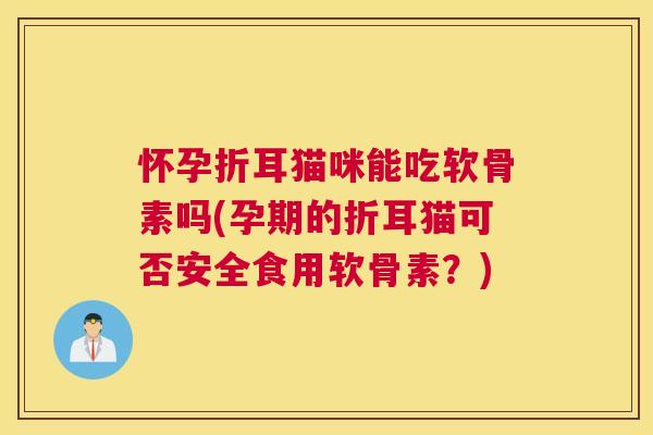 怀孕折耳猫咪能吃软骨素吗(孕期的折耳猫可否安全食用软骨素？)