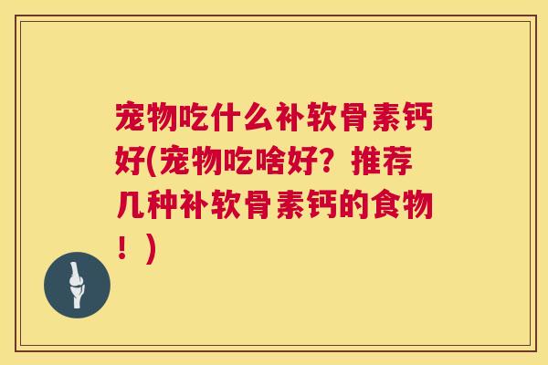 宠物吃什么补软骨素钙好(宠物吃啥好？推荐几种补软骨素钙的食物！)