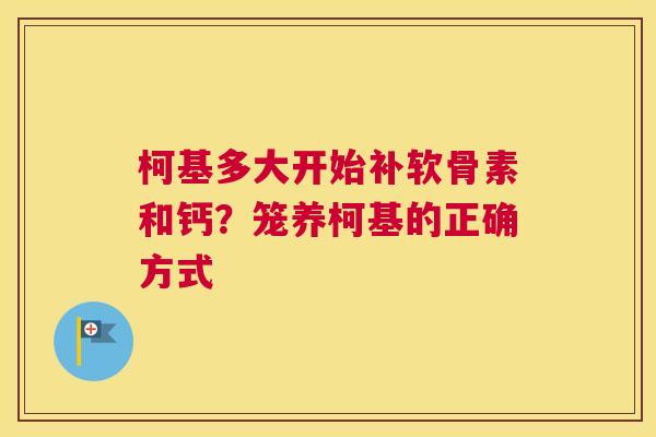 柯基多大开始补软骨素和钙?笼养柯基的正确方式