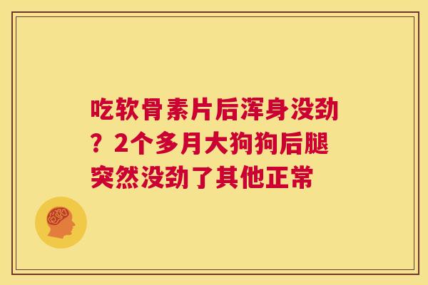 吃软骨素片后浑身没劲？2个多月大狗狗后腿突然没劲了其他正常