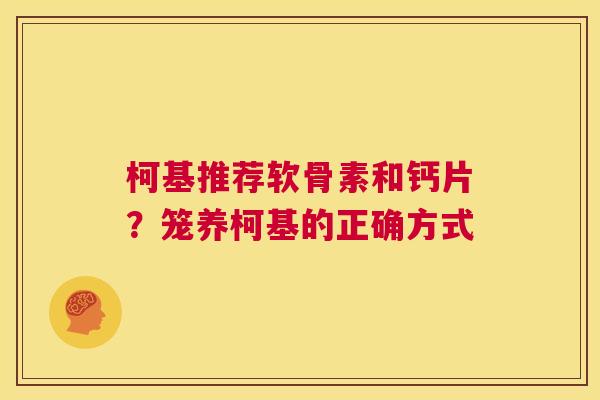 柯基推荐软骨素和钙片？笼养柯基的正确方式