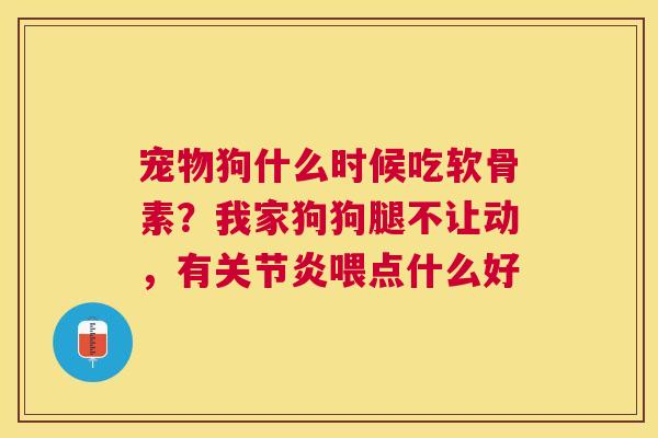 宠物狗什么时候吃软骨素?我家狗狗腿不让动,有关节炎喂点什么好