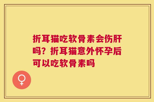 折耳猫吃软骨素会伤肝吗?折耳猫意外怀孕后可以吃软骨素吗