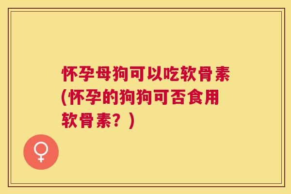 怀孕母狗可以吃软骨素(怀孕的狗狗可否食用软骨素?)