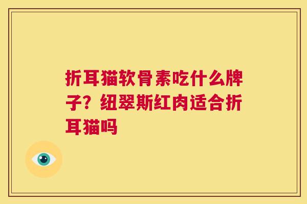 折耳猫软骨素吃什么牌子?纽翠斯红肉适合折耳猫吗 折耳猫软骨素吃什么牌子?纽翠斯红肉适合折耳猫吗