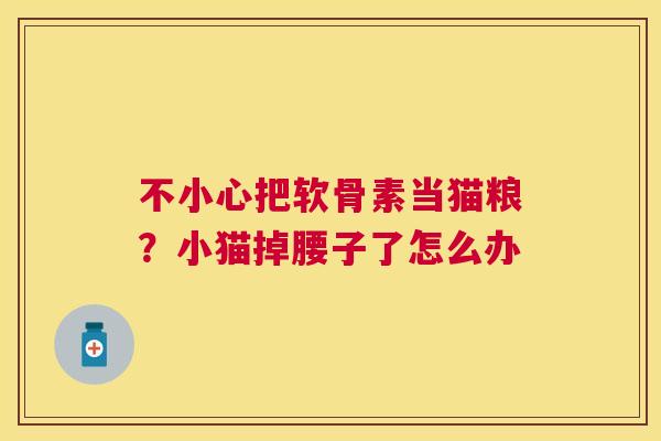 不小心把软骨素当猫粮?小猫掉腰子了怎么办