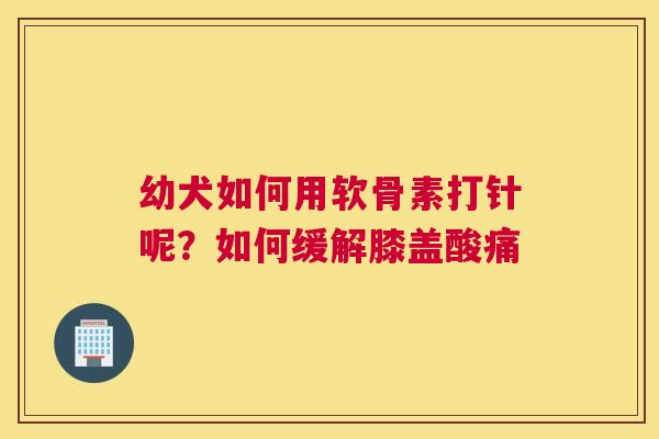 幼犬如何用软骨素打针呢?如何缓解膝盖酸痛 幼犬如何用软骨素打针呢?如何缓解膝盖酸痛