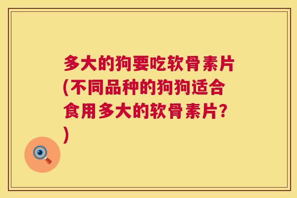多大的狗要吃软骨素片(不同品种的狗狗适合食用多大的软骨素片？)